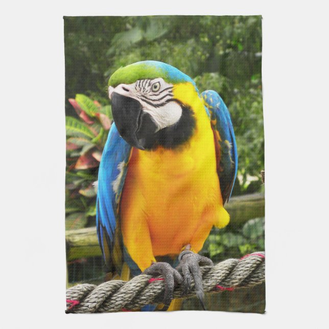 Exotic Macaw Parrot Kitchen Towel (Vertical)