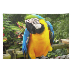 Exotic Macaw Parrot Placemat