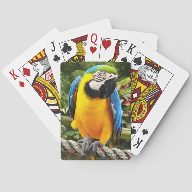 Exotic Macaw Parrot Playing Cards (Back)