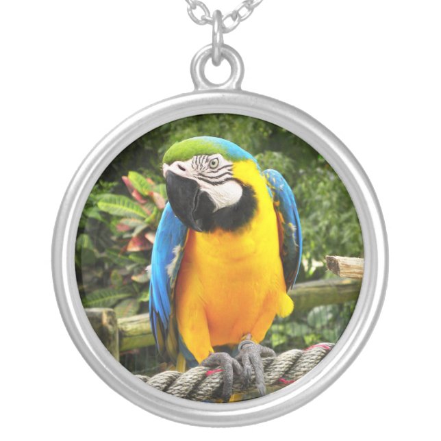 Exotic Macaw Parrot Silver Plated Necklace (Front)