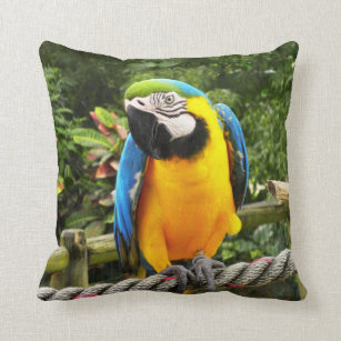 Exotic Macaw Parrot Throw Pillow
