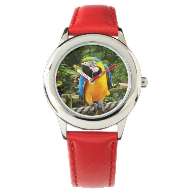 Exotic Macaw Parrot Watch (Front)