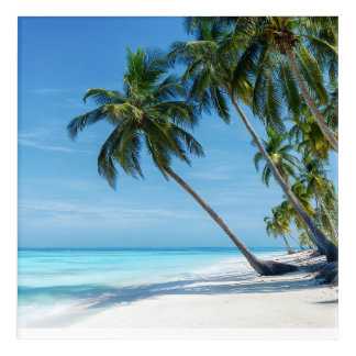 Exotic Palm Beach Turquoise Water Sunny Paradise Acrylic Print