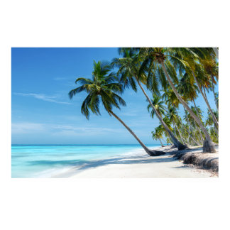 Exotic Palm Beach Turquoise Water Sunny Paradise Poster