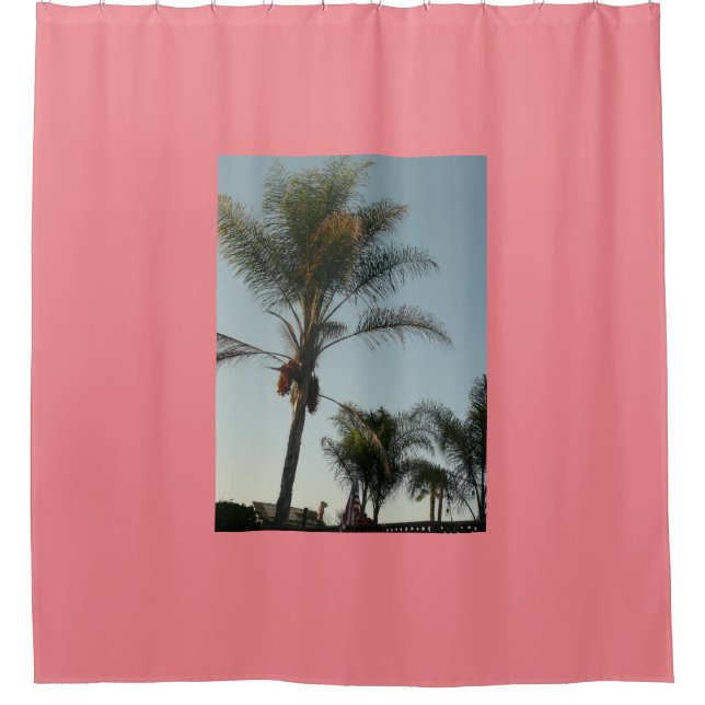 exotic palm tree with blue sky shower curtain (Front)
