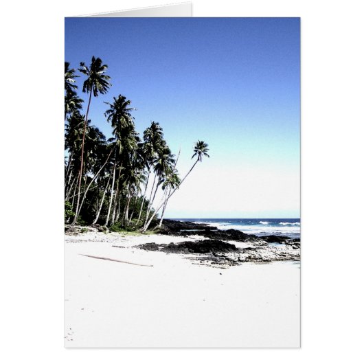 Exotic Palm Trees & Paradise Beach Cards (Front)