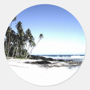 Exotic Palm Trees & Paradise Beach Classic Round Sticker