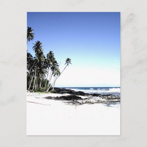 Exotic Palm Trees  Paradise Beach Postcard