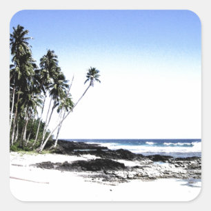 Exotic Palm Trees & Paradise Beach Square Sticker