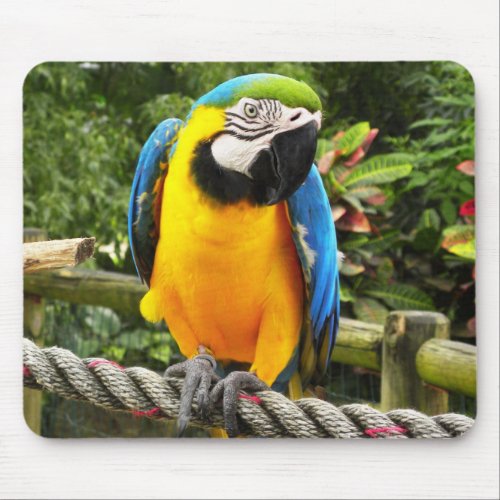Exotic Parrot Mouse Pad