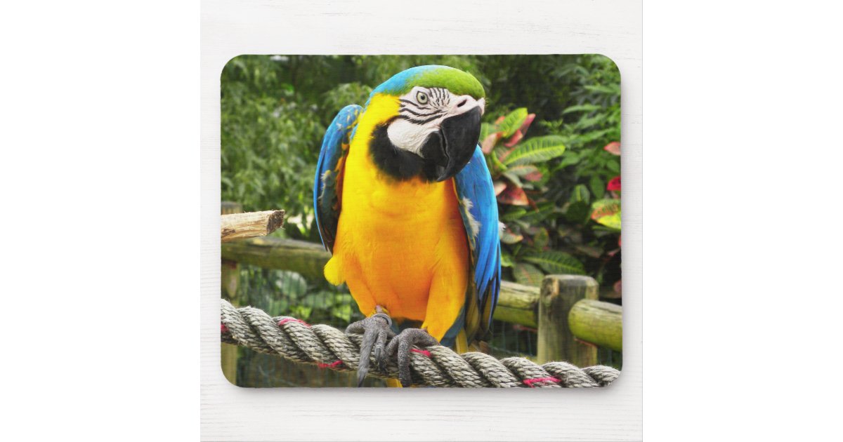 Exotic Parrot Mouse Pad | Zazzle