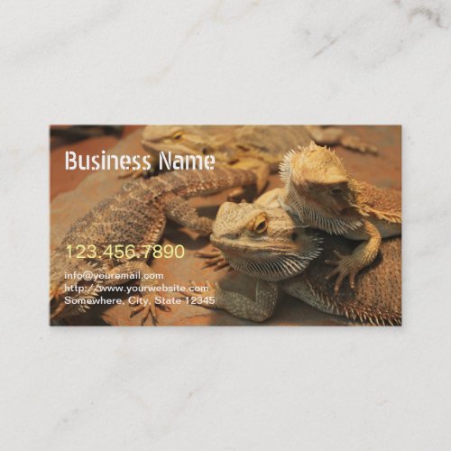 Exotic Pet  Reptile Photography Business Card