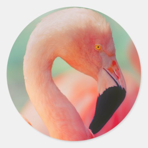 Exotic Pink Flamingo Bird Stickers