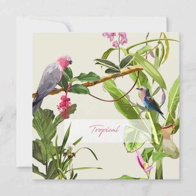 Exotic pink parrot tropical illustration note card (Front)