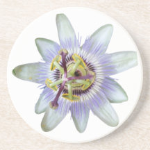 Exotic Purple Passion Flower Sandstone Coaster