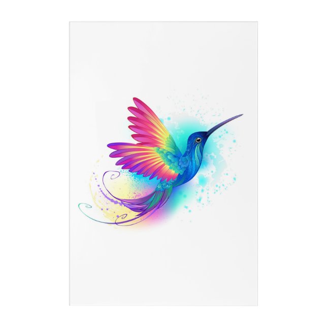 Exotic Rainbow Hummingbird Acrylic Print (Front)