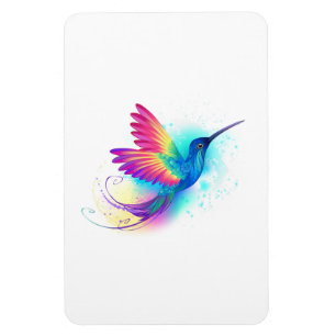 Exotic Rainbow Hummingbird Magnet