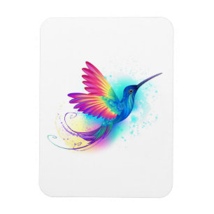 Exotic Rainbow Hummingbird Magnet