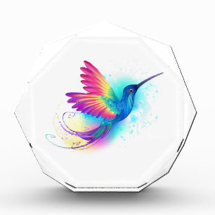 Exotic Rainbow Hummingbird Photo Block