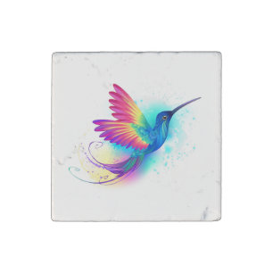 Exotic Rainbow Hummingbird Stone Magnet