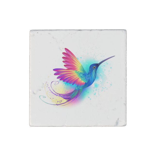 Exotic Rainbow Hummingbird Stone Magnet (Front)