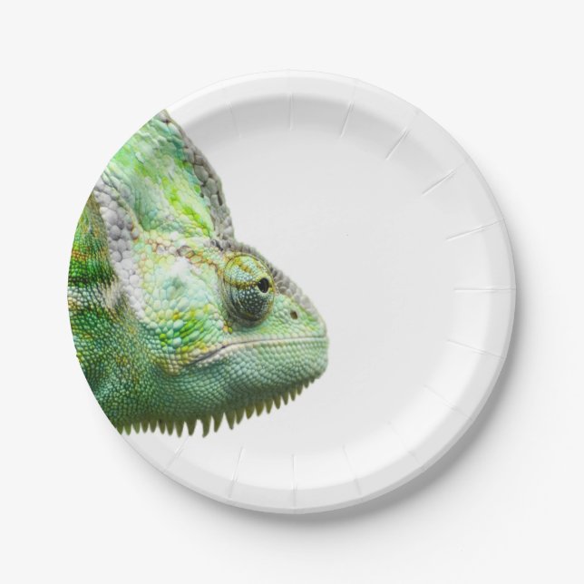 Exotic Reptile Paper Plates (Front)