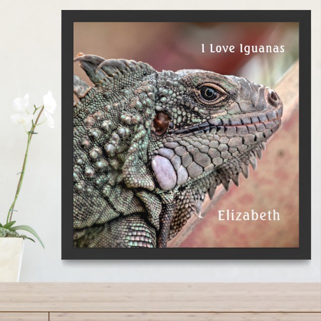 Exotic Reptile Pet Iguana Animal Tropical  Framed Art (Entryway)