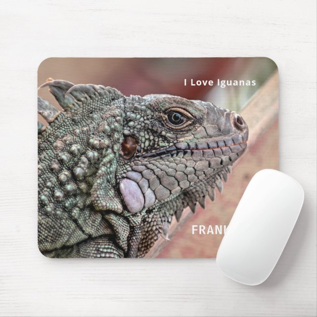 Exotic Reptile Pet Iguana Personalize  Mouse Pad (With Mouse)