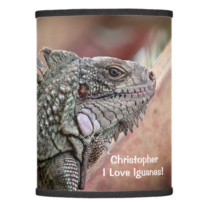 reptile lamp shade