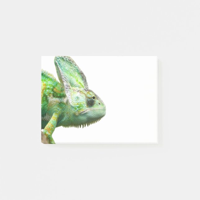 Exotic Reptile Post-it Notes (Front)