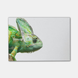 Exotic Reptile Post-it Notes