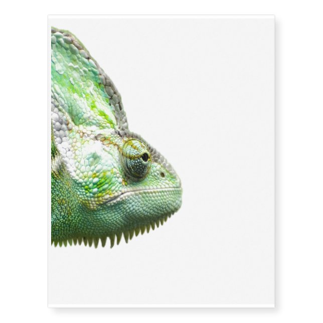 Exotic Reptile Temporary Tattoos (Front)