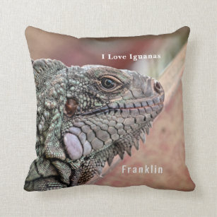 reptile pillow