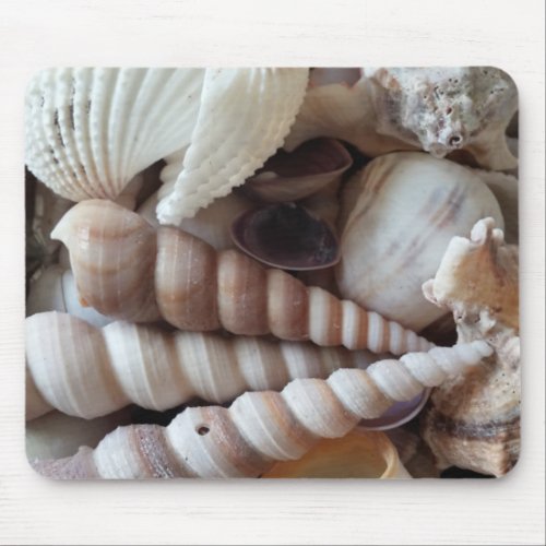 Exotic Sea Shells Collection Summer Beach Life Mouse Pad