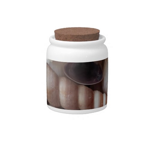 Exotic Seashells Collection Summer Beach Candy Jar