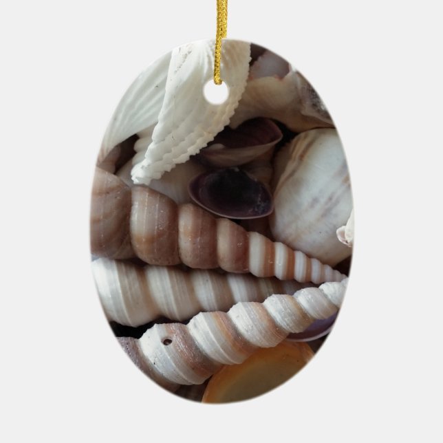 Exotic Seashells Collection, Summer Beach Ceramic Ornament (Front)