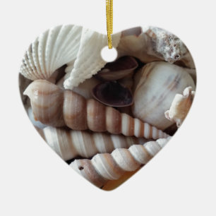 Exotic Seashells Collection, Summer Beach Ceramic Ornament