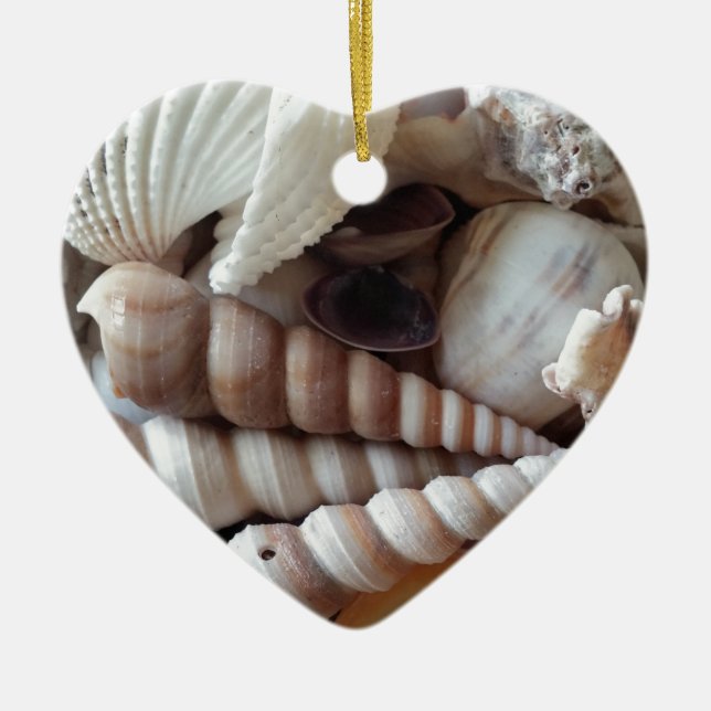 Exotic Seashells Collection, Summer Beach Ceramic Ornament (Front)
