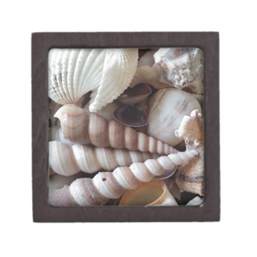 Exotic Seashells Collection Summer Beach Jewelry Box