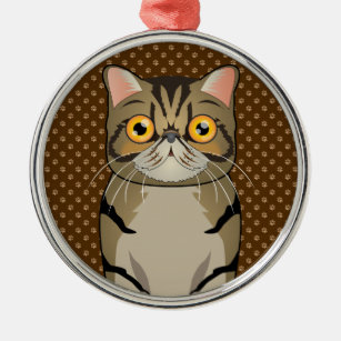 Exotic Shorthair Cat Gifts on Zazzle