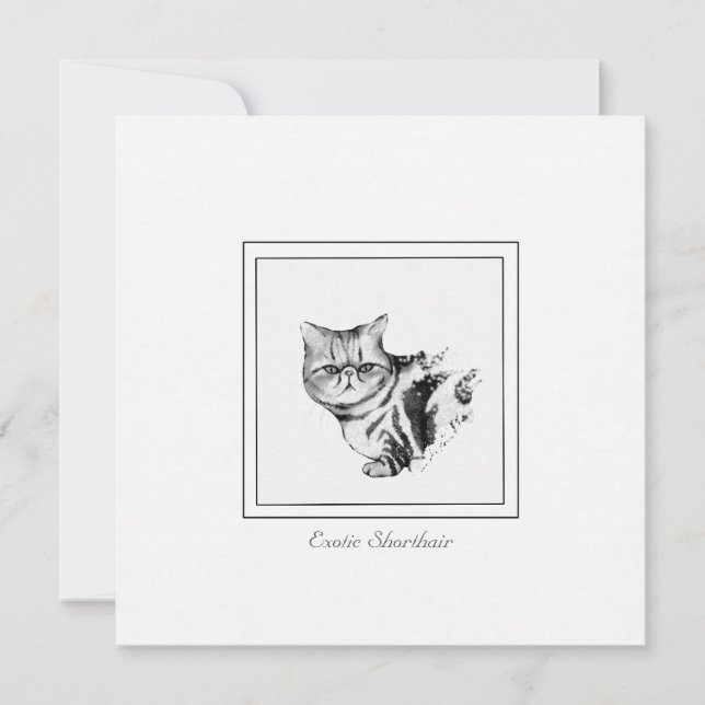 Exotic Shorthair Cat Flat Note Card (Front)