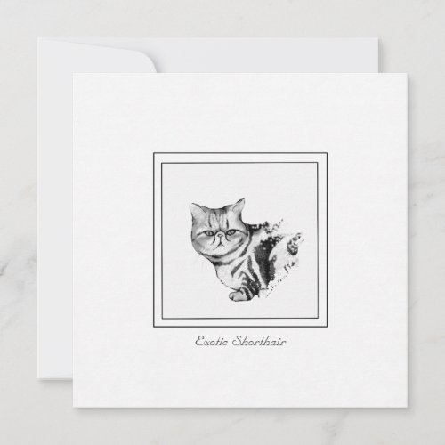 Exotic Shorthair Cat Flat Note Card