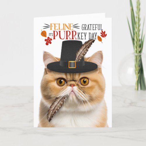 Exotic Shorthair Cat Grateful for PURRkey Day Holiday Card