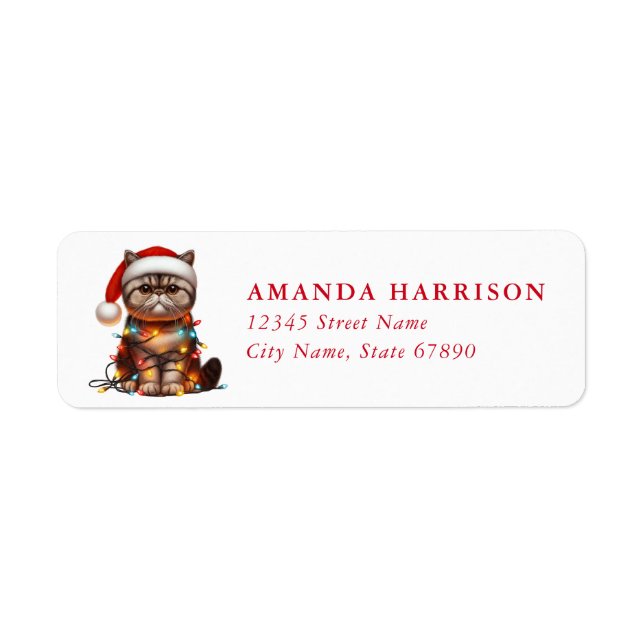 Exotic Shorthair Cat Return Address Labels (Front)