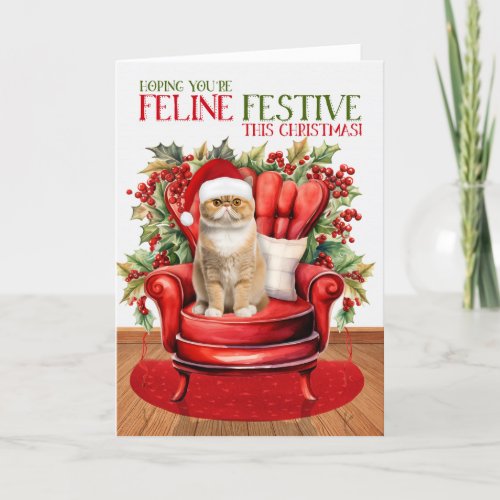 Exotic Shorthair Christmas Cat FELINE Festive Holi Holiday Card