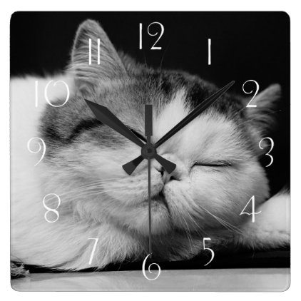 Exotic Shorthair Sleeping Square Wall Clock