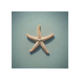 Exotic Starfish with Blue Background Wood Wall Art