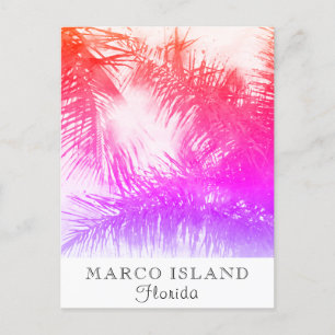 *~* Exotic Travel AP25 Personalize -  Palm Leaf Postcard