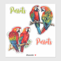 Exotic Tropical Colorful Cutomizable Parrots