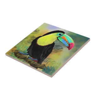 Exotic Tropical Toco Toucan Bird - Painting Migned Ceramic Tile